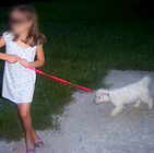 Another dogwalker and nothing to clean up the dog mess.