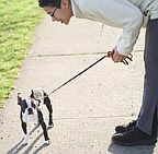 Awww,  did you lay a poopie again ?? You're so cute, let's go. 